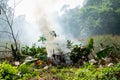 Burning plant twigs produces thick smoke. Organic waste is burned by village communities