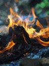 burning plastic waste Royalty Free Stock Photo
