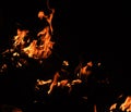 Burning power. Flames from hell. Fire spark background. Beautiful stylish fire flames during the night