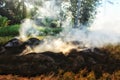 Burning process of rice tree branches in rural rice fields with sunlight and trees in background in Cilacap Indonesia 12 Sept 20