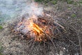 burning pruned branches and twigs of fruit trees