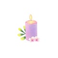 Burning purple candle with a branch and flowers isolated on white background.
