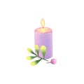 Burning purple candle with a green twig and a bud isolated on white background.