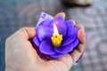 Burning purple candle in shape of lotus flower