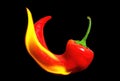 Burning red chili pepper close-up Royalty Free Stock Photo