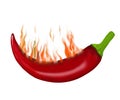 Burning red chili peppers on a black background Royalty Free Stock Photo