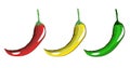 Burning red yellow and green peppers Royalty Free Stock Photo