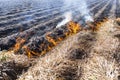 Burning of remains in agricultural cultivation Royalty Free Stock Photo