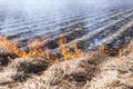 Burning of remains in agricultural cultivation Royalty Free Stock Photo