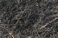 Burning rice straw Royalty Free Stock Photo