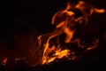 Burning of rice straw at night. Red fire on a black background. Combustion. Royalty Free Stock Photo
