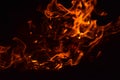 Burning of rice straw at night. Red fire on a black background. Combustion. Royalty Free Stock Photo