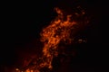 Burning of rice straw at night. Red fire on a black background. Combustion. Royalty Free Stock Photo