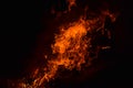 Burning of rice straw at night. Red fire on a black background. Combustion. Royalty Free Stock Photo