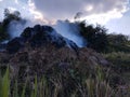 burning of rice straw at the time of starting the planting season by farmers Royalty Free Stock Photo