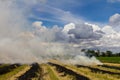 Burning rice stubble