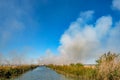 Burning of rice stubble burning straw in rice farmers Royalty Free Stock Photo