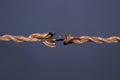 Burning rope at breaking point on dark background Royalty Free Stock Photo