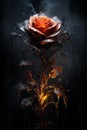 Burning rose flower, Heartbroken