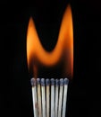 Burning row of matches Royalty Free Stock Photo