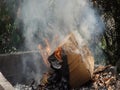 Burning rubbish in the caribbean