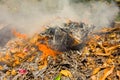 Burning rubbish in the caribbean Royalty Free Stock Photo