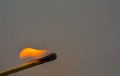 Macro shot of a wooden safety matchstick burning with a bright colorful flame Royalty Free Stock Photo