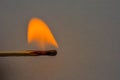 Macro shot of a wooden safety matchstick burning with a bright colorful flame Royalty Free Stock Photo