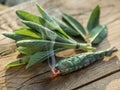 Burning sage stick and fresh sage leaves on the wooden background Royalty Free Stock Photo