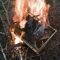 Honey frame in bonfire