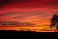 Burning sky and a black silhouette of a tree Royalty Free Stock Photo