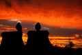 Burning sky. with two resting birds silhouetted by the sunset Royalty Free Stock Photo