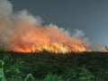 Burning of straw on the field