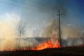 Burning of straw on the field smoke fire electric poles