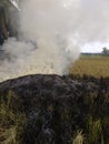 burning straw in the fields after harvesting Royalty Free Stock Photo