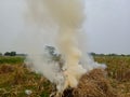 burning straw in the fields to make charcoal Royalty Free Stock Photo