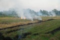 Burning straw after harvest in rice field. Royalty Free Stock Photo