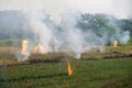 Burning straw after harvest in rice field.