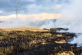 Burning straw in rice plantation. Royalty Free Stock Photo