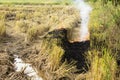 Burning straw in rice plantation one of cause to global warming Royalty Free Stock Photo