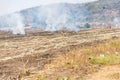 Burning straw in rice plantation in thailand Royalty Free Stock Photo