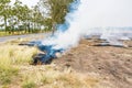 Burning straw in rice plantation in thailand Royalty Free Stock Photo