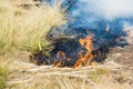 Burning straw in rice plantation in thailand Royalty Free Stock Photo