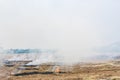 Burning straw in rice plantation in thailand Royalty Free Stock Photo