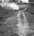 Burning stubble field