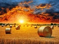 the big burning sunset over farm field with hay bales, AI generated