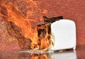 Burning toaster. Toaster with toast caught on fire over table