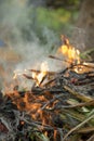 Burning trash leaves and tree branches in the garden, natural background Royalty Free Stock Photo