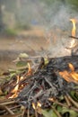 Burning trash leaves and tree branches in the garden, natural background Royalty Free Stock Photo