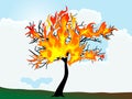 Burning tree